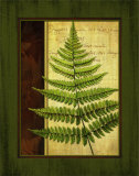 Fern Grotto I