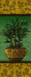 Tropical Plants I