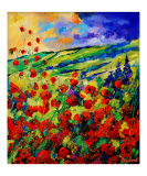 red poppies