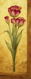 Grandiflora IV