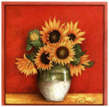 Tournesol en Jarre