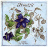 Clematite