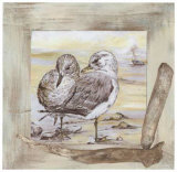 Mouettes