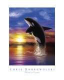 Wonders of Creation - Whales Series III
