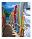 Row of Colorful Surfboards  Waikiki Beach