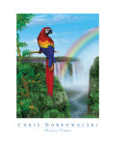 Wonders of Creation - Bird Series I