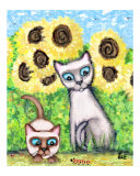 Siamese Caterpillar Cats