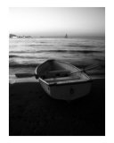 Shoreline