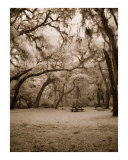 Ominous Picnic 2