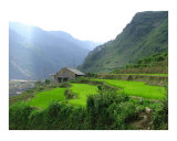 Sapa  Viet Nam