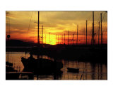 Seattle  Washington Marina