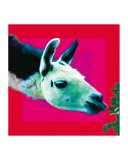 LLama