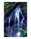 Bridal Veil Falls