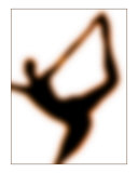 Shadow Dancer