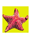 Starfish