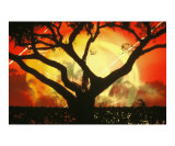 black tree