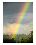 Bright Rainbow