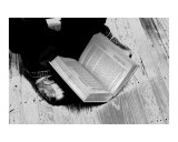 Untitled - Fine Art Print