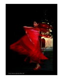 Flamenco Of Fire