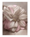 Dahlia