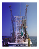 Shrimp Boat Blue