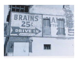 BRAINS