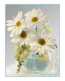 Daisies in Vase