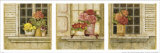 Potted Flowers  Three Panels IV