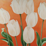 White Tulips