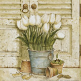 Potted Tulips II