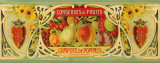 Compote De Pommes
