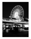 The ferris wheel at Navy Pier