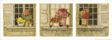 Potted Flowers  Three Panels II