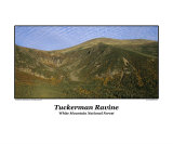 Tuckerman Ravine Located in the White Mountain National Forest