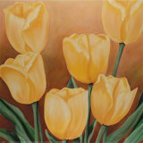 Orange Tulips