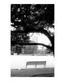 Bench in the park