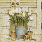 Potted Tulips II