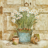 Potted Flowers II