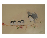 Chickadees