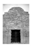 Alamo 1