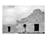Alamo 4