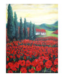 Poppies 01