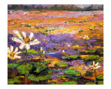 Lily & Lotus Pond - South Georgia Wetland