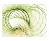 Fractal Flame 7