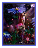 Fairy and Gift