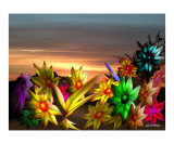 Nightflowers
