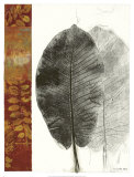 Leaf Study I