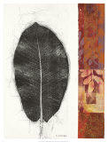 Leaf Study II