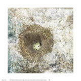 Nest Egg