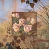 Signna Rose